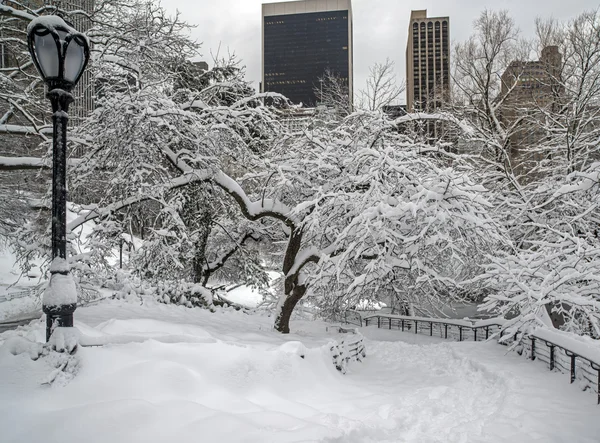 Central Park, Nowy Jork — Zdjęcie stockowe