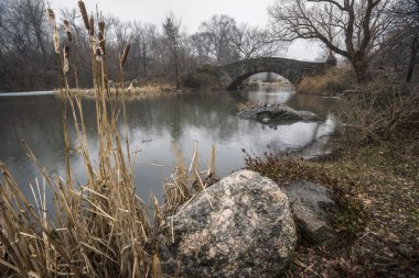Central park, new york şehri gapstow Köprüsü