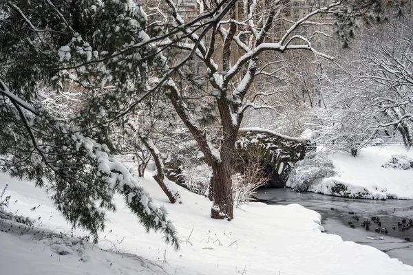 Central Park, Nowy Jork — Zdjęcie stockowe