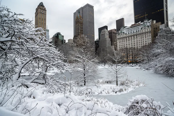 Central Park, New York City Winter — Stockfoto