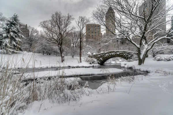 Central Park, New York City Ponte di Gapstow — Foto Stock