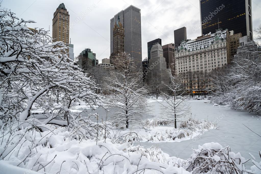Central Park, New York City winter Stock Photo by ©johnanderson 23545785