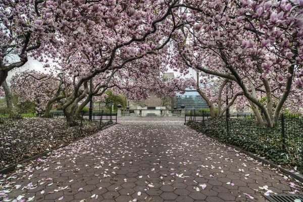 Central Park, New York Şehri — Stok fotoğraf