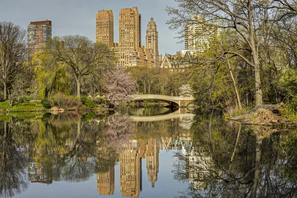 Central park, new york city båge bridge — Stockfoto