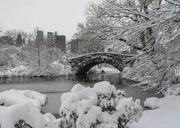 中央公园，纽约城 gapstow 桥 — 图库照片