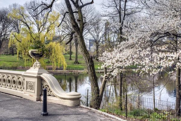 Central Park, New York City Bow bridge — Stock Photo, Image
