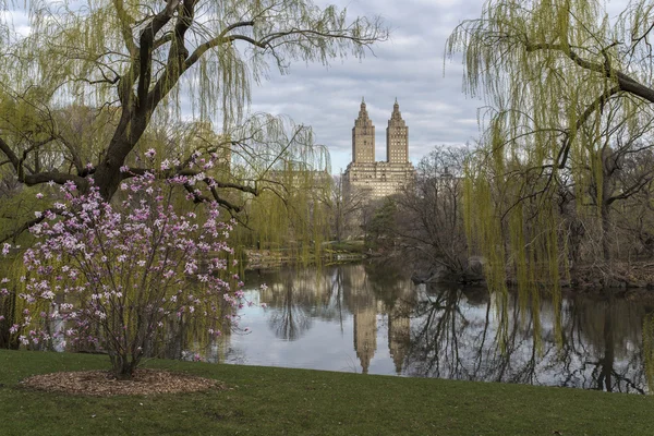 Central park, nowy york wielkie miasto, nad jeziorem — Zdjęcie stockowe