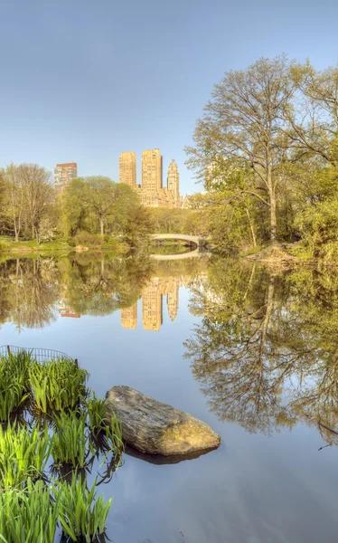 Central park, new york city boog brug — Stockfoto