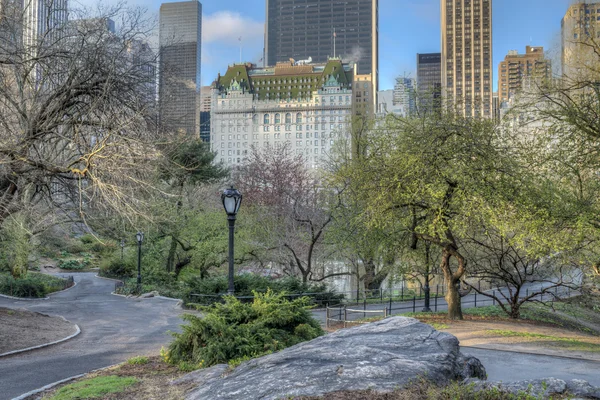 Central Park, New York Şehri — Stok fotoğraf