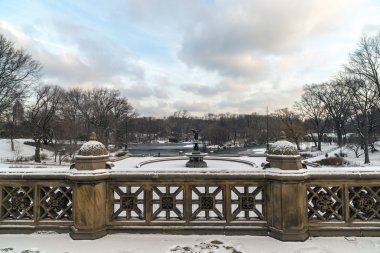 central park, new york city bethesda Teras