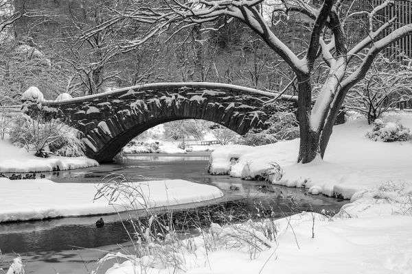 中央公园，纽约城 gapstow 桥 — 图库照片