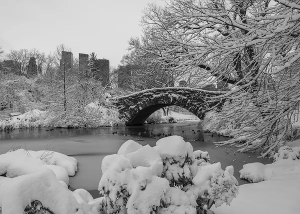 Central Park, New York City Gapstow bridge — Stockfoto