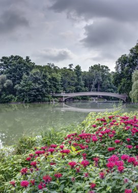 Central Park, New York Şehri