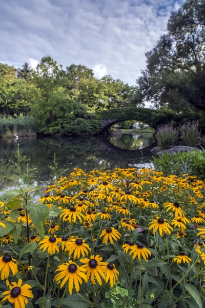 Central Park, Nueva York — Foto de Stock