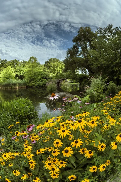 Central Park, New York Şehri — Stok fotoğraf