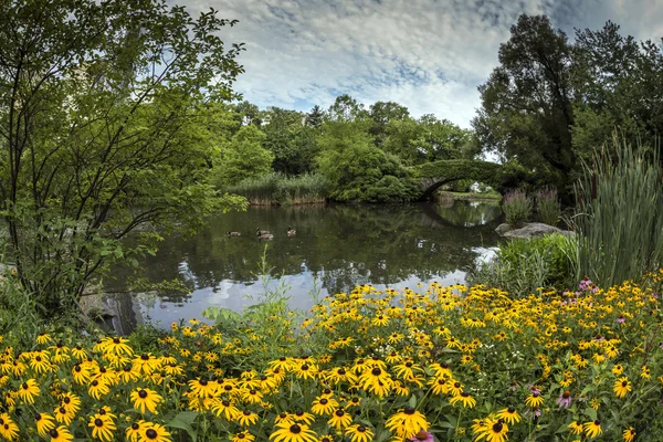 Central Park, New York City — Stockfoto