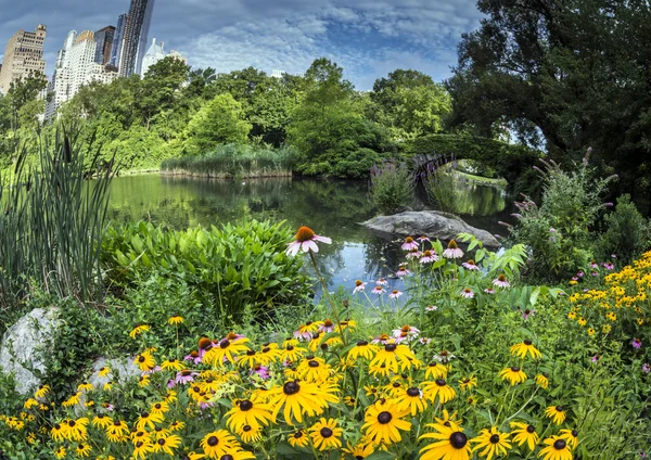 Central Park, New York City — Stockfoto