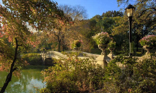 Central park, new york city luk most — Stock fotografie