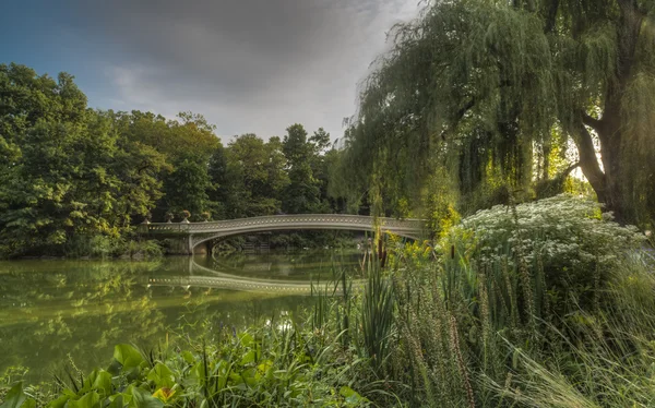 Central Park, New York City now bridge — Stok fotoğraf
