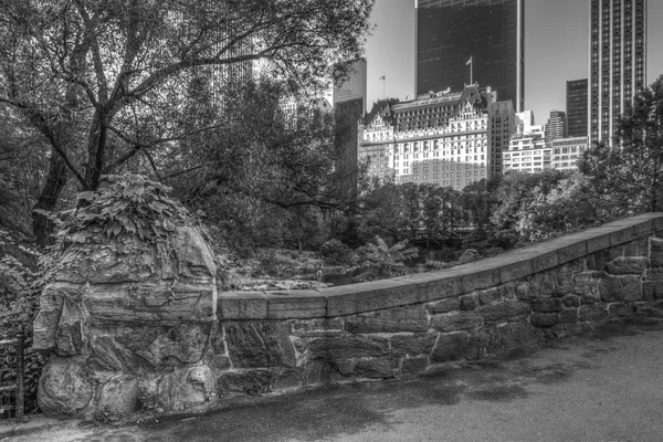 Central park gapstow brug — Stockfoto