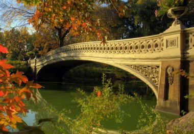 Central park, new york city yay Köprüsü