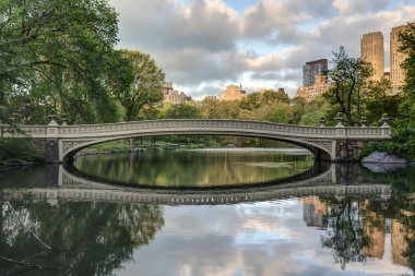 Central Park, New York City Bow bridge clipart