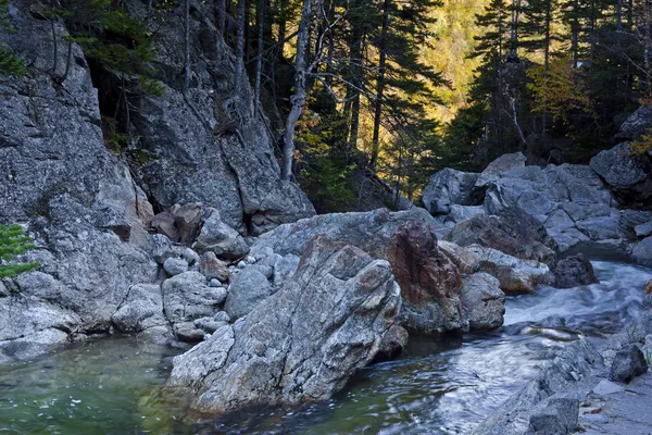 New hampshire bílé hory na podzim — Stock fotografie