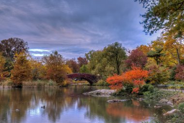 gapstow köprü central park, new york city