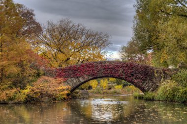 gapstow köprü central park, new york city