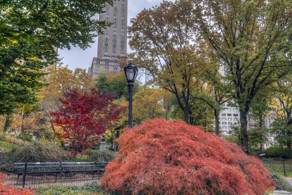 Central Park, Nueva York — Foto de Stock