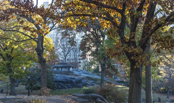 Central Park, New York város — Stock Fotó