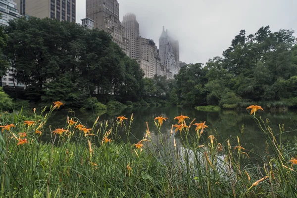 Central Park, New York City — Stock fotografie