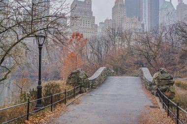 gapstow köprü central park, new york city