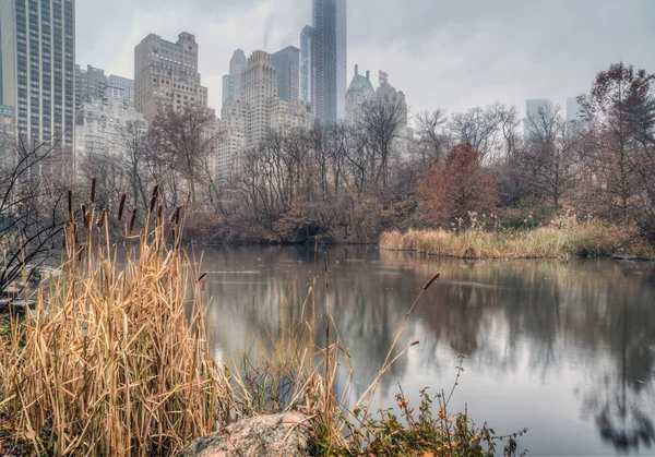 Central Park, Ciudad de Nueva York en el día de niebla — Foto de Stock