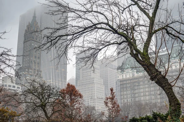 Central Park, Ciudad de Nueva York en el día de niebla —  Fotos de Stock