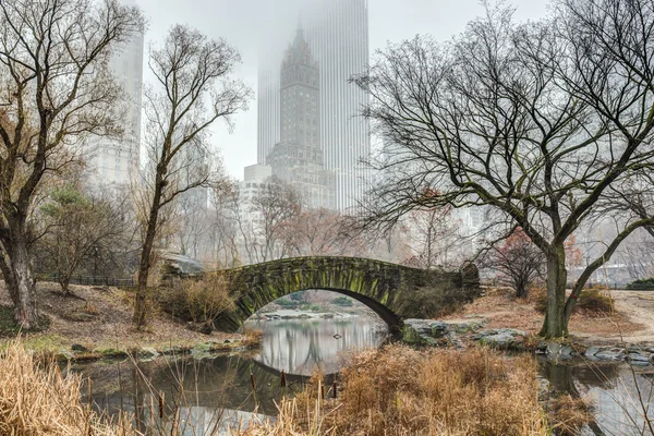 Gapstow overbruggen central park, new york city — Stockfoto