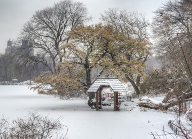 Central park, new york city kar fırtınası sırasında
