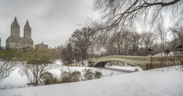 Central park, new york city under snöstorm — Stockfoto