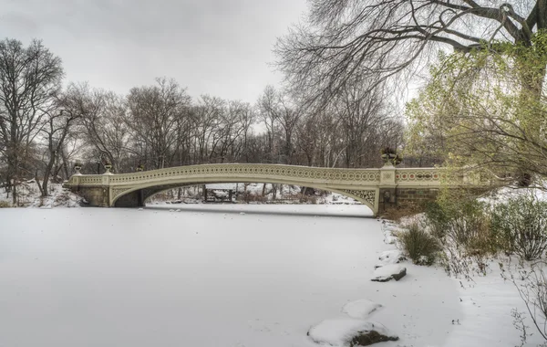 Central Park, New York durante la tempesta di neve — Foto Stock