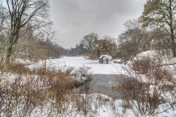 Central Park, Nova Iorque durante tempestade de neve — Fotografia de Stock
