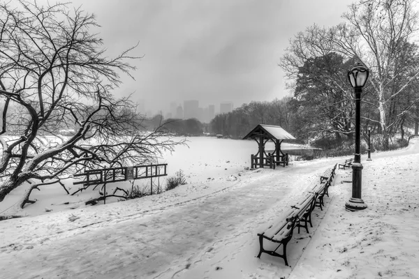 在暴风雪期间纽约中央公园 — 图库照片