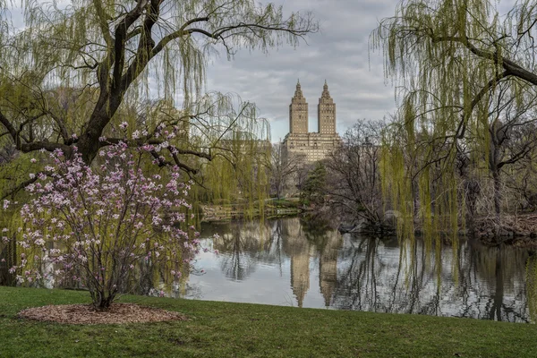 Central Park, New York City am See — Stockfoto