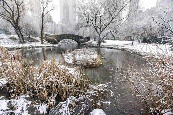 Central park, Nova Iorque gapstow ponte — Fotografia de Stock