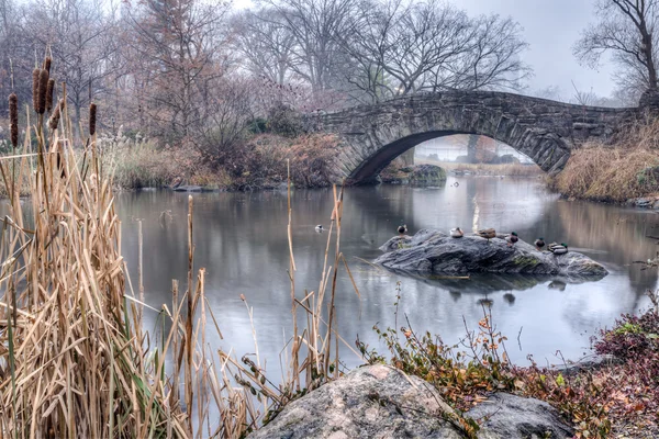 Puente de Gapstow Central Park, Nueva York —  Fotos de Stock