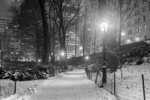 Night in Central Park, New York City during snow storm