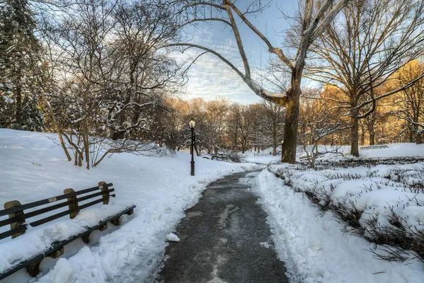 Central Park após tempestade de neve — Fotografia de Stock