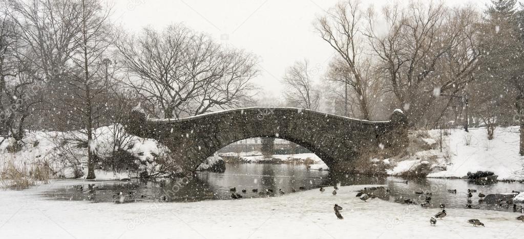 Central Park, New York City Panoramic