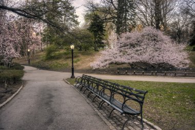 πρώιμη άνοιξη στο Σέντραλ Παρκ, Νέα Υόρκη