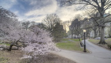 πρώιμη άνοιξη στο Σέντραλ Παρκ, Νέα Υόρκη