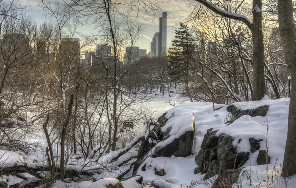 Central Park, New York City — Stock fotografie